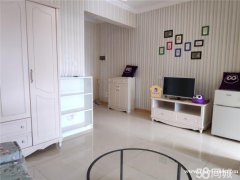 标准套一金融城地铁口拎包入住中海国际枫丹国际国家电网布鲁明顿